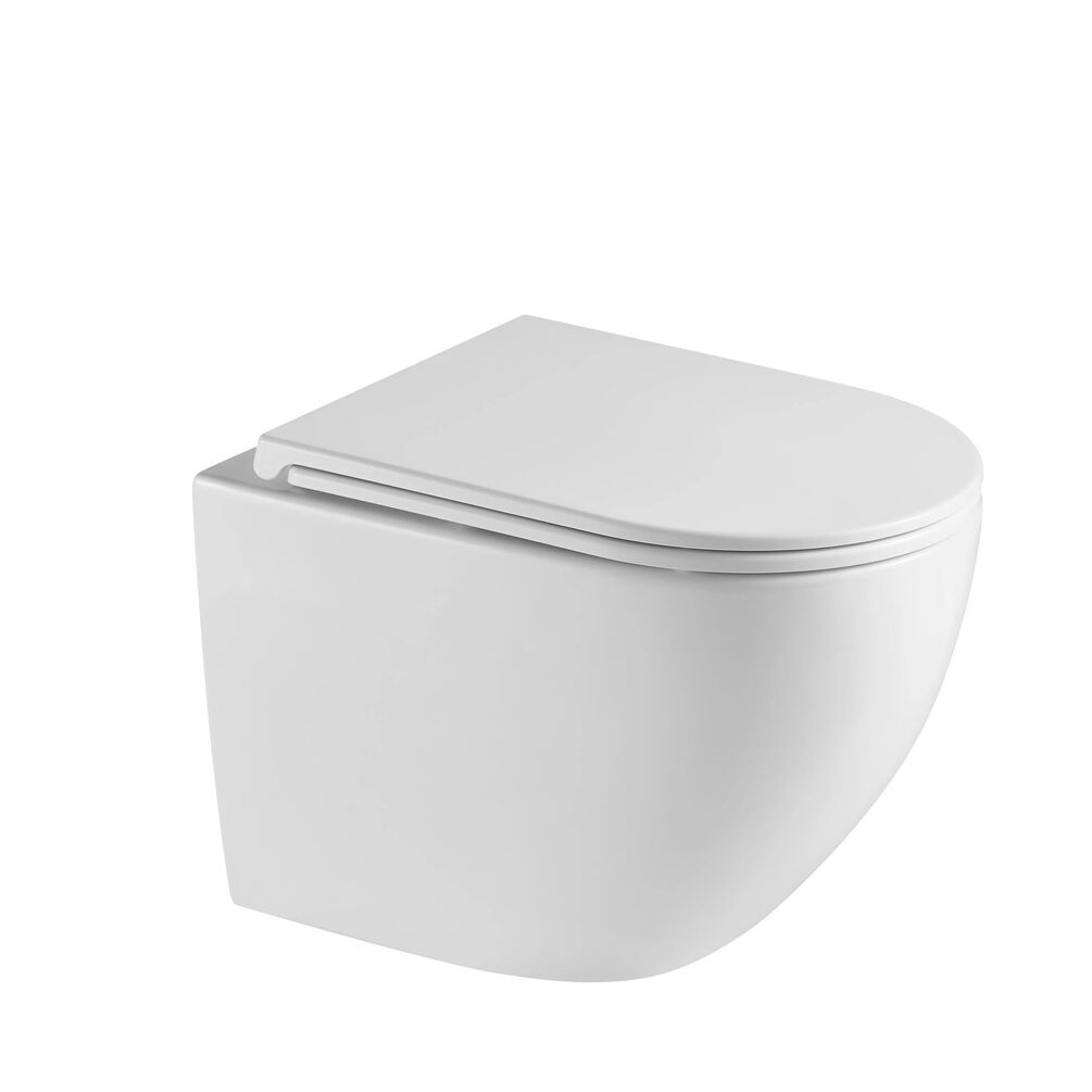 JTP Wortex White Wall Hung Rimless Toilet & Seat Cut Out 1